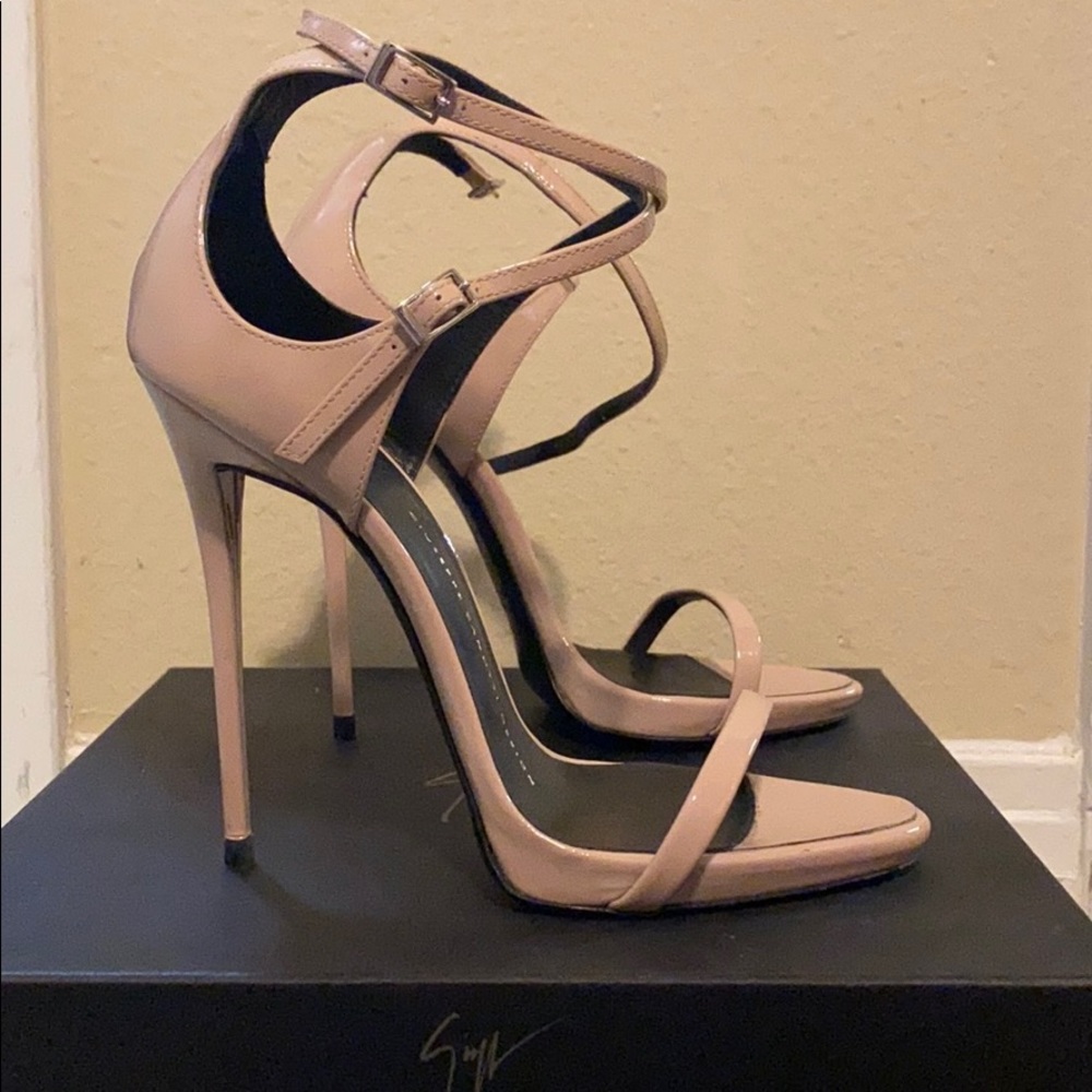 Giuseppe Zanotti Darcie